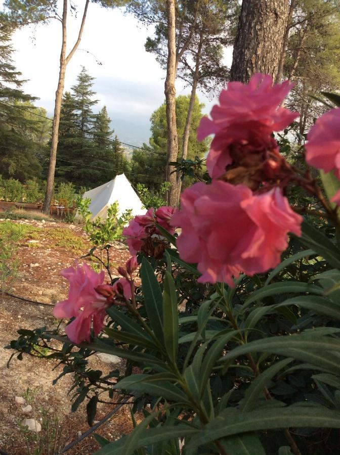 Casa Jetizo Bed & Breakfast ออนตินเยนต์ ภายนอก รูปภาพ