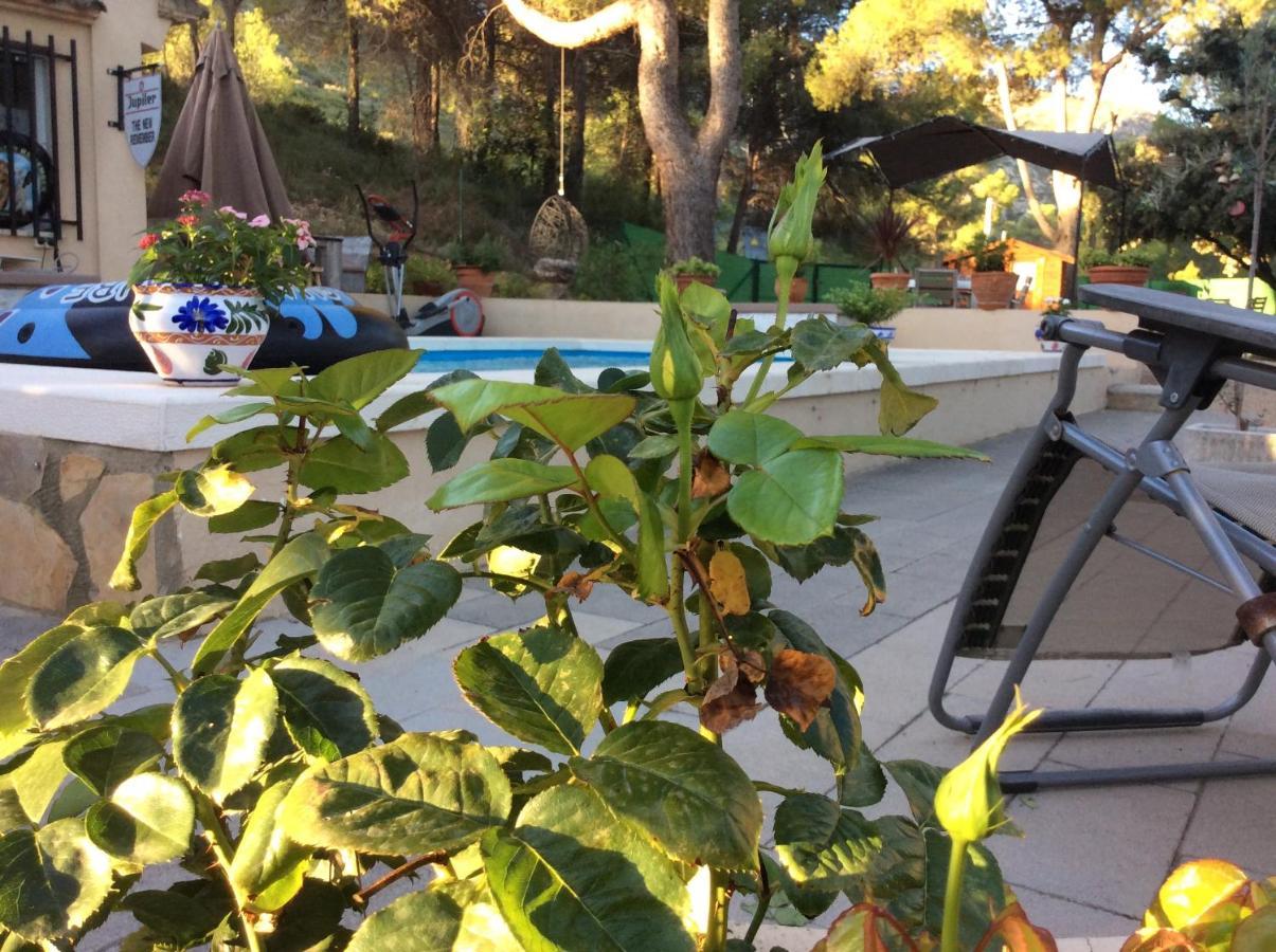 Casa Jetizo Bed & Breakfast ออนตินเยนต์ ภายนอก รูปภาพ