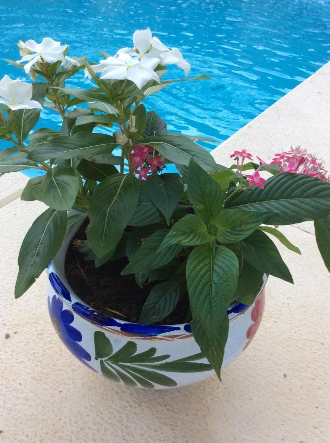 Casa Jetizo Bed & Breakfast ออนตินเยนต์ ภายนอก รูปภาพ